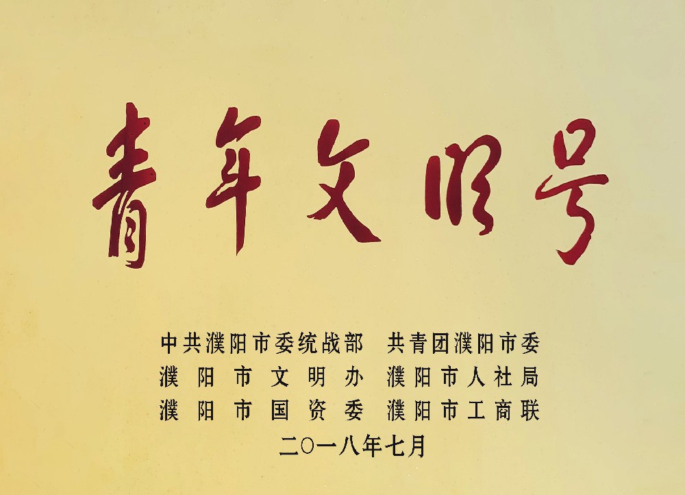 2017年8月被共青团濮阳市委评委青年文明号